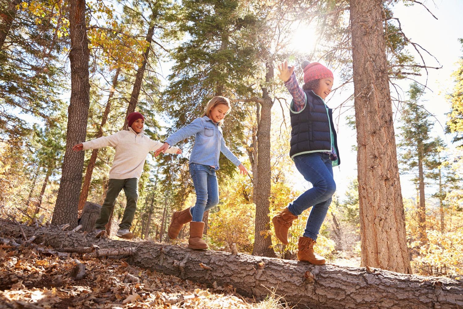 Get Moving This Summer With a Family Hiking Trip, Pilot Cove