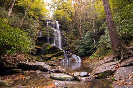 asheville hikes cove