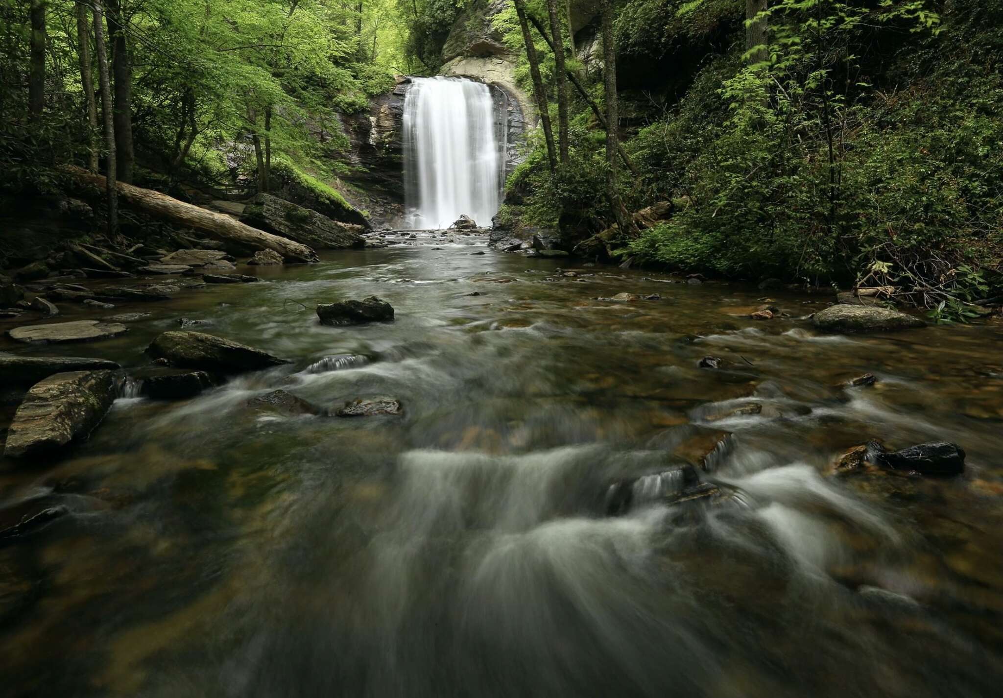 Easiest Trails Pilot Cove Pisgah Forest NC